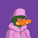 Duckset "The Diploquacks"