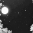 FunZone | Social • Gaming • Dating  • Fun Discord server icon