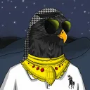Arabian Falcons