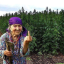 Granny Off Percs icon