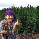 Granny Off Percs