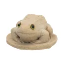Sand Frogs