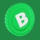 Bicon Project