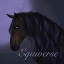 EQUIVERSE *･༓☾