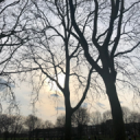 3.0 Discord server icon