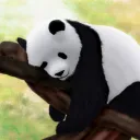 🐼 Snoring_Panda | Webnovel