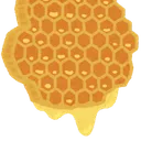 チョコくま(仮)