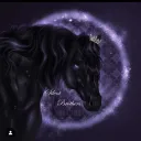 | ♕ - 𝐒𝐈𝐋𝐄𝐍𝐓 𝐁𝐑𝐎𝐓𝐇𝐄𝐑𝐒 - ♕ |