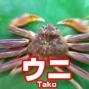 うにのサーバー