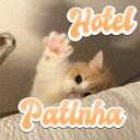 ꒰  ꒱ Hotel Patinha + ̊੭ Discord Server Icon
