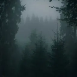 легенда - выблядок, это да НО ПЕРЕЕЗД НС SATORY!!!!!@ — мониторинг Discord сервера, статистика и рейтинг