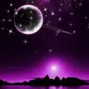 Midnight Ark