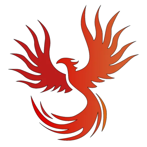 Aoku.py Support — monitoring serwera Discord, statystyki i ranking