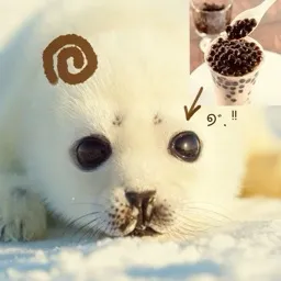 🦭 ྀི seal tag banner
