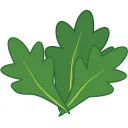 Kale Crypto