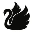 Black Swan Group