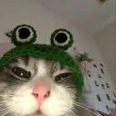 froge
