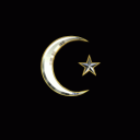 The Muslim Lounge Server Icon
