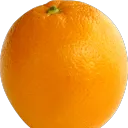 🍊 Orange Community 🍊