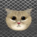 catsscotish's server