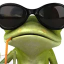 El servidor de  los bitches