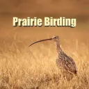 Prairie Birding