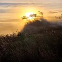 Tavern of Toast (Ping Land) Discord Server Icon