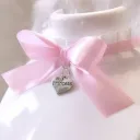 🎀ꔫ﹕𝑝𝑟𝑖𝑛𝑐𝑒𝑠𝑠