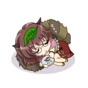 TANUKI // GC