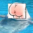 Auwimor