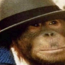 The Monkeyplex Community