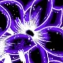 Nightshade's Garden