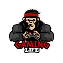 Gaming Life