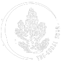 The Coral Swap Server Icon