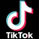 TikTok 2.0 Discord Server Icon