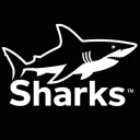 sharks
