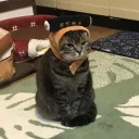 Pussy Slayers of the Leaf