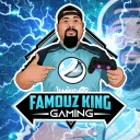 Famouz_king's server