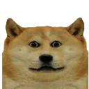 Dead Discord About Dead MMOs