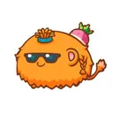 TheDream Axie Community