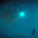 Under the Sea