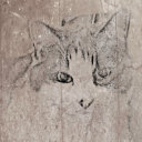 Hampter Prod. Official Server Icon