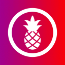 The Fineapples 🍍