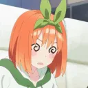 SERVEUR FERMEE REJOINDRE LE NOUVEAU