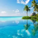 The Oasis