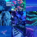 Def not just a emoji server's icon