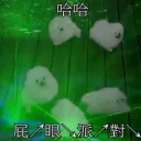 屁↗眼↘派↗對↘ /TAG