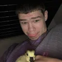 The Bugs 🐞🐛🐜🕷🦟🪲🪳's icon