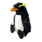 branleurs_des_pingouins