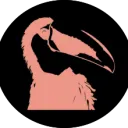 Travel Toucans